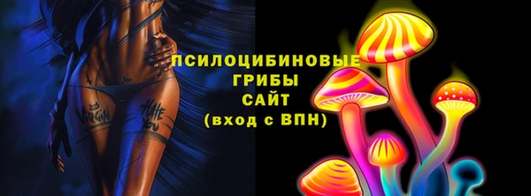 spice Алзамай