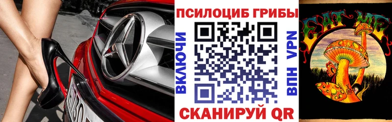 Галлюциногенные грибы Cubensis  Болхов 