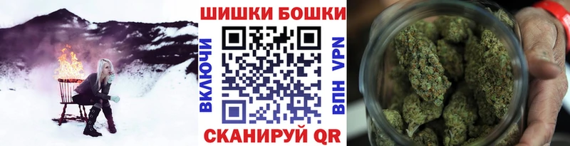 Бошки Шишки семена  Болхов 